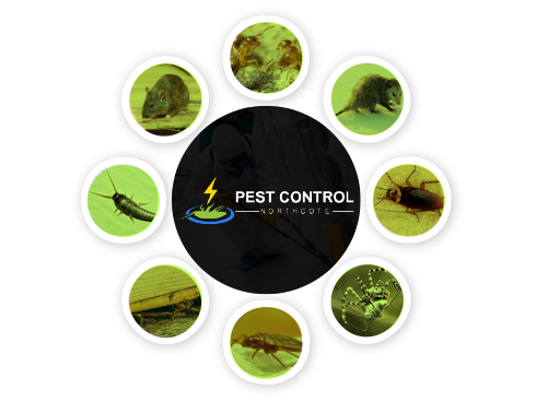 Pest Control Northcote